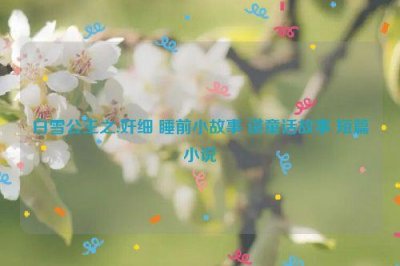 ​白雪公主之:奸细 睡前小故事 讲童话故事 短篇小说