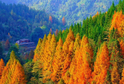 ​范仲淹岳阳楼记背景(岳阳楼记原文及注释)